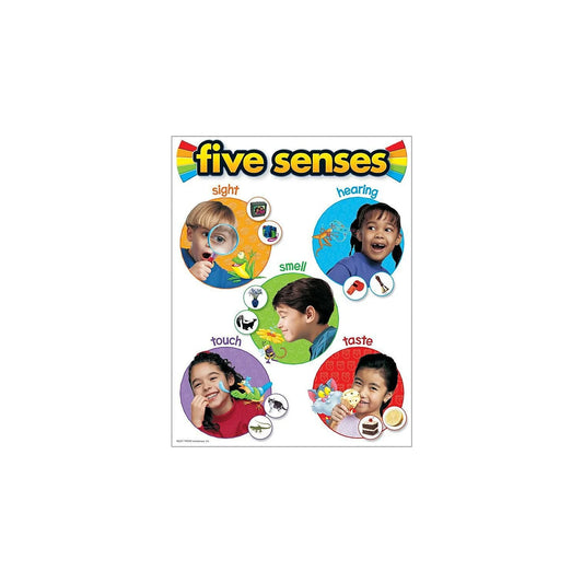 Five Senses Learning Chart - Engaging Educational Tool for Children (17x22)