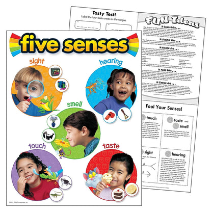 Five Senses Learning Chart - Engaging Educational Tool for Children (17x22)