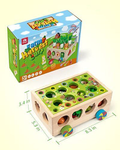 Engaging Montessori Wooden Shape Sorter: Educational Learning Toy for Toddlers Aged 1-4