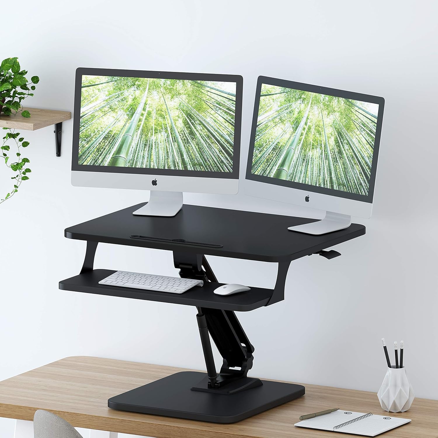 Ergonomic Gas Spring Stand Up Desk Converter - Adjustable Sit to Stand Workstation in Black