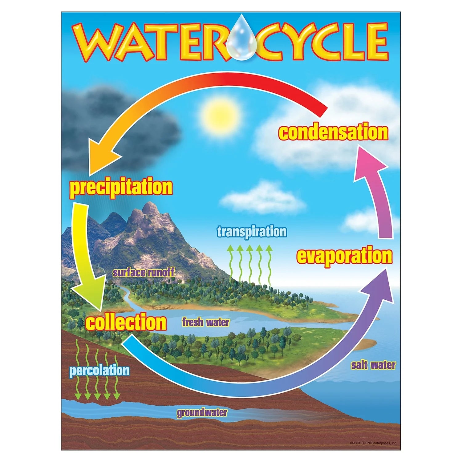 Engaging Water Cycle Learning Chart - 17" x 22" Educational Tool for Classrooms and Home