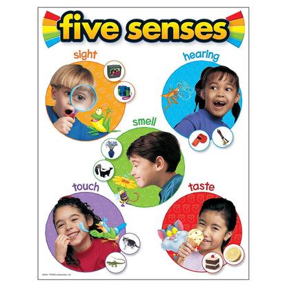 Five Senses Learning Chart - Engaging Educational Tool for Children (17x22)