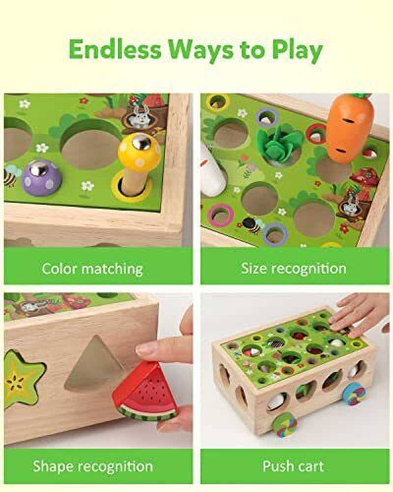 Engaging Montessori Wooden Shape Sorter: Educational Learning Toy for Toddlers Aged 1-4