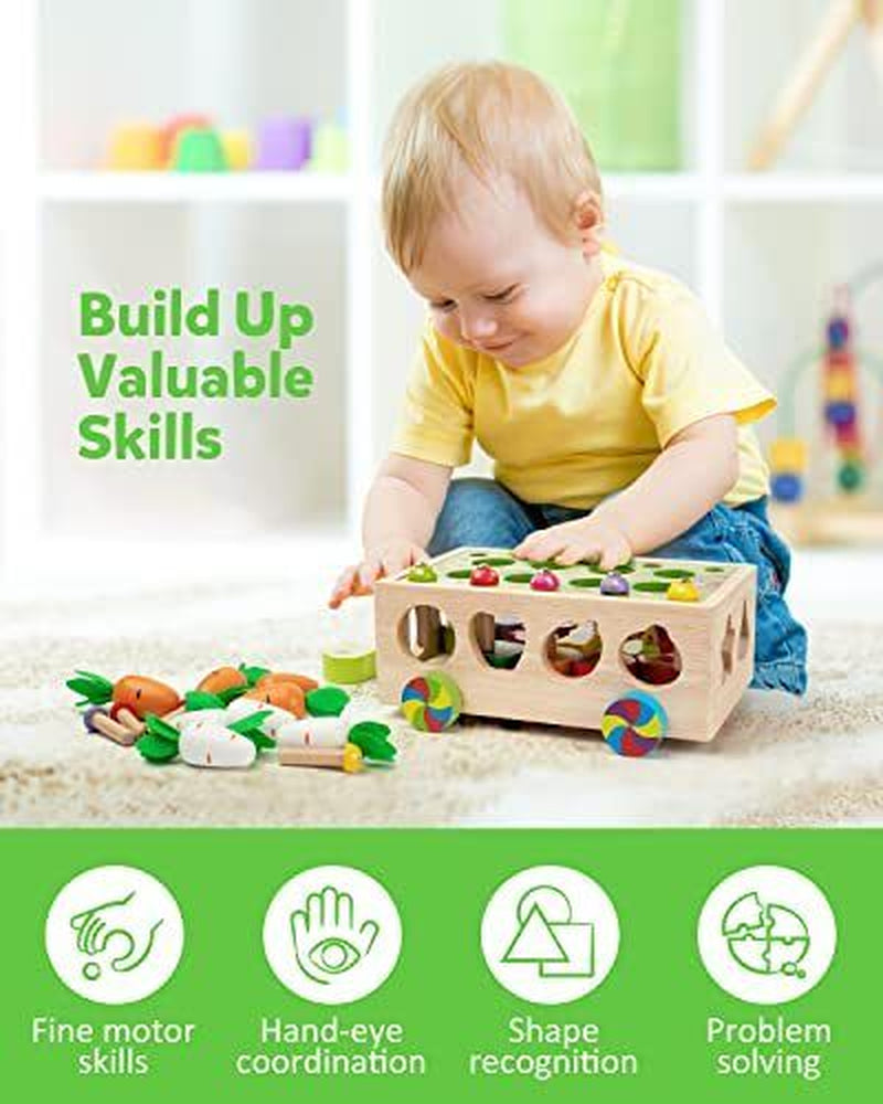 Engaging Montessori Wooden Shape Sorter: Educational Learning Toy for Toddlers Aged 1-4